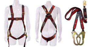 Screenshot 2025-01-30 101437-harness